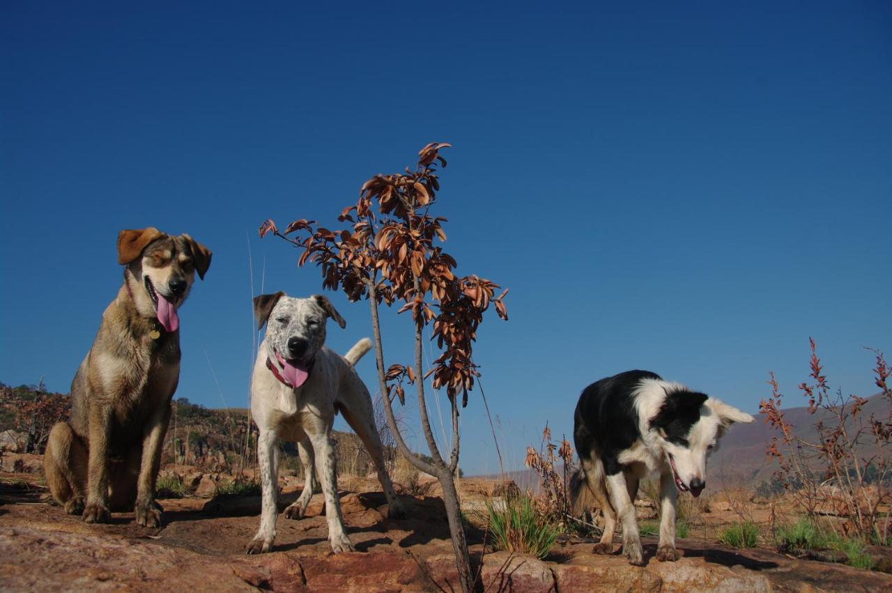 Willa Tegwaan Country Getaway Waterval Boven Zewnętrze zdjęcie